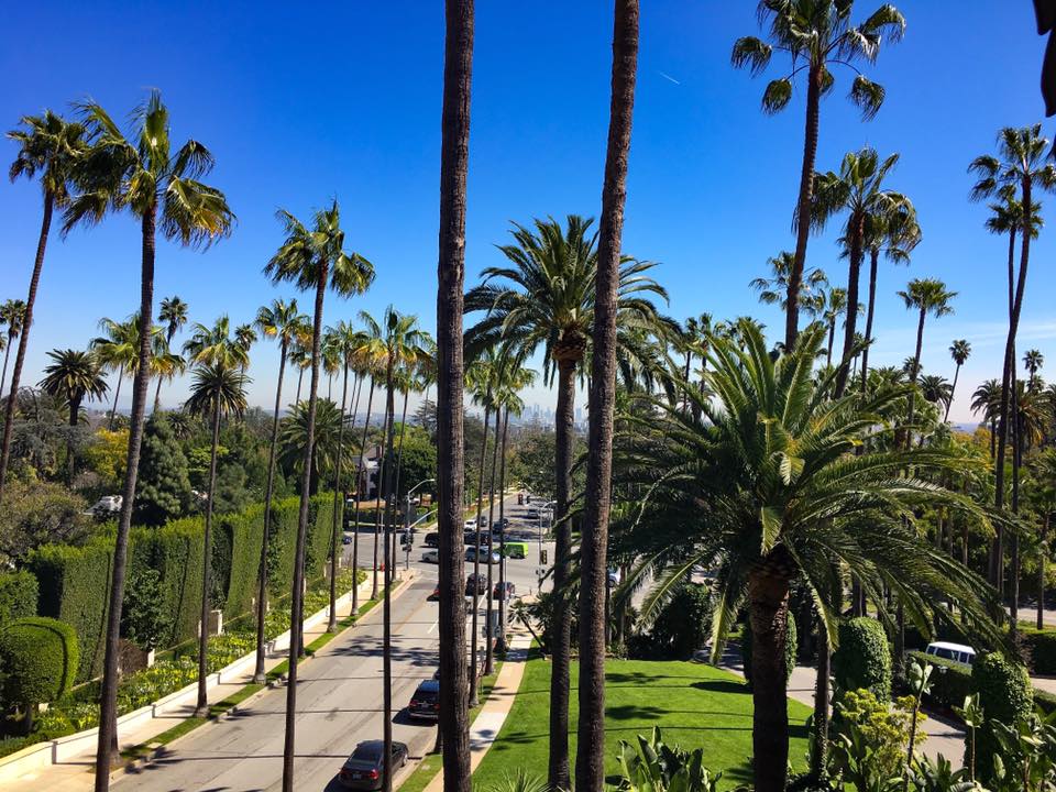 Beverly hills 1