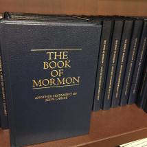 13087665_10209481598181416_4608459463048062675_n