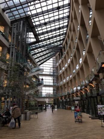 13100863_10209481598101414_584410874384438248_n