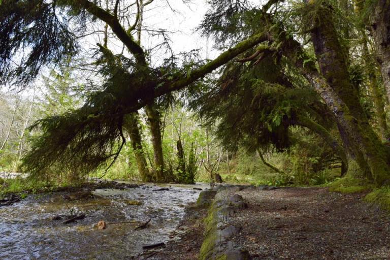 17361790_10212611850315763_2605711322310648970_n