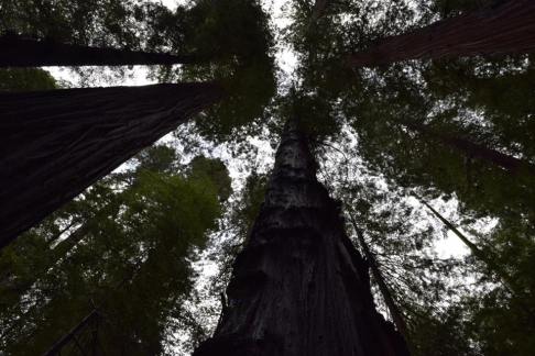 17457322_10212611846235661_7062392153902873239_n