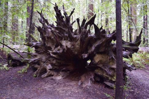 17457818_10212611848035706_769263155333866002_n