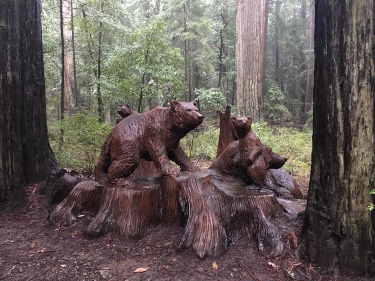 17458356_10212611838995480_6395624922708633657_n