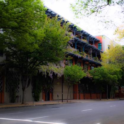 17498444_10212631329042719_2827336344202663454_n