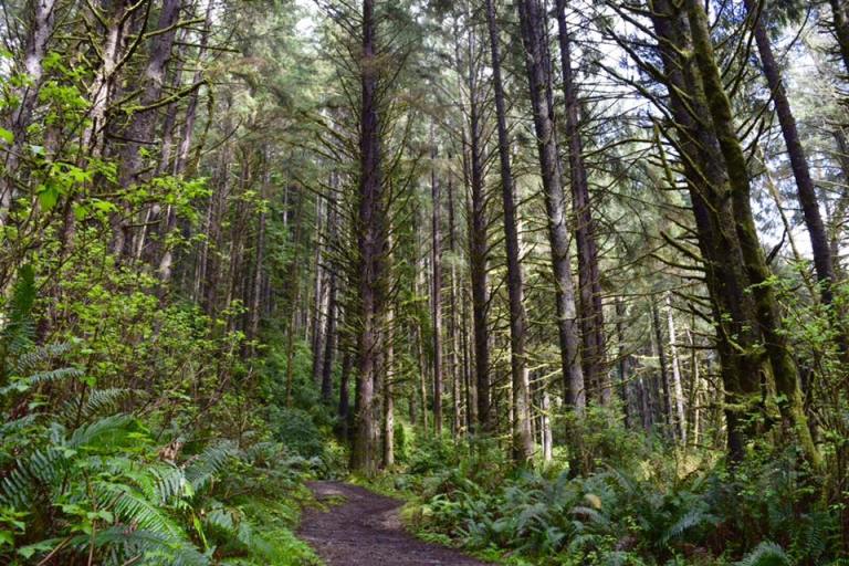 17498524_10212611853115833_6417398306773637193_n