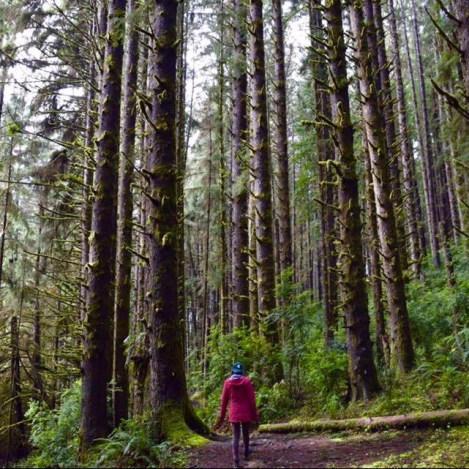 17522796_10212611852915828_6550992451718633952_n